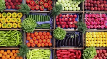 أسعار مدهشة.. تحديث يومي لأسعار الفاكهة والخضراوات الثلاثاء 25 نوفمبر 2025